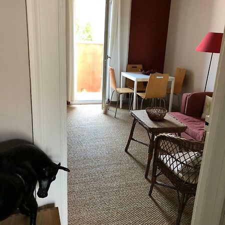 Appartement Hippolyte Montpellier Esterno foto